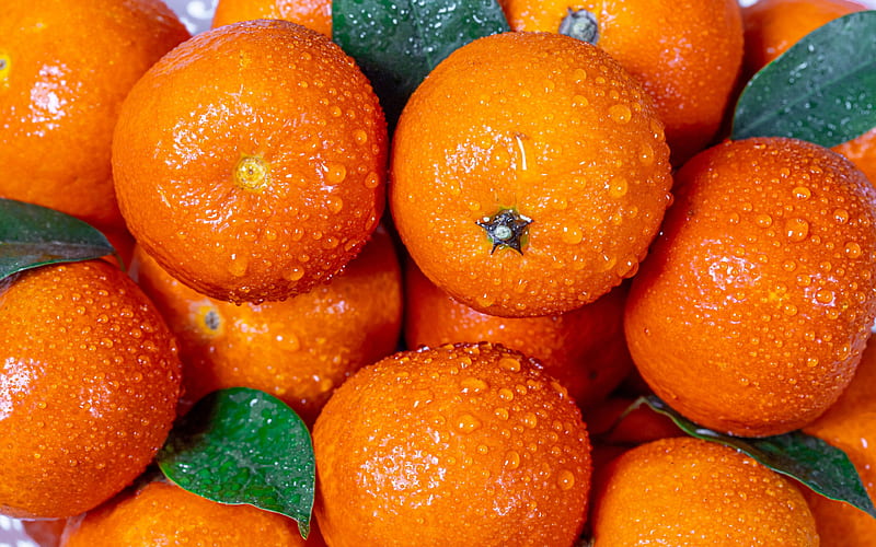 HD-wallpaper-tangerines-citruses-fruits-orange-tangerines-background-with-tangerines