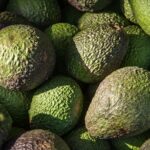 hass-avocado-1164173_1280